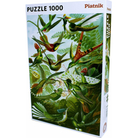 PIATNIK Puzzle Kolibříci 1000 dílků