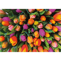 PIATNIK Puzzle Tulipány 1000 dílků