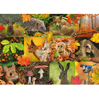 JUMBO Puzzle Zvířata na podzim 1000 dílků
