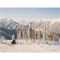 GALISON Oboustranné puzzle Gray Malin: Zima 500 dílků