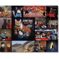 CHRONICLE BOOKS Puzzle Star Trek Cats 1000 dílků