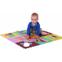 BABY GREAT Pěnové puzzle Barevná doprava SX (30x30)