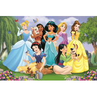 TREFL Puzzle Super Shape XL Disney princezny: V zahradě 104 dílků