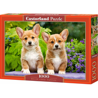 CASTORLAND Puzzle Štěňátka Welsh Corgi 1000 dílků