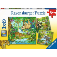 RAVENSBURGER Puzzle Zvířata v džungli 3x49 dílků
