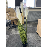 Umělá tráva pampová - 90 cm - ecru bílá