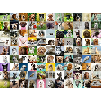 RAVENSBURGER Puzzle 99 roztomilých psů XL 750 dílků