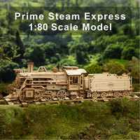 ROBOTIME Rokr 3D dřevěné puzzle Prime Steam Express 308 dílků