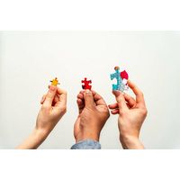 GIBSONS Puzzle Cestička mezi chalupami 500 dílků