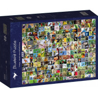 BLUEBIRD Puzzle Koláž: Nejkrásnější ptáci světa 4000 dílků