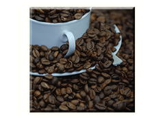 Obraz na plátně 30x30cm COFFEE BEANS - vzor 20