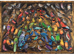 RAVENSBURGER Puzzle Ptáci světa 1000 dílků