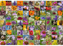 RAVENSBURGER Puzzle Včely na květinách 1000 dílků