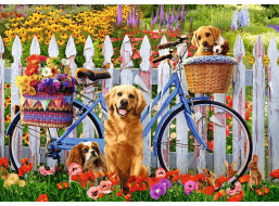 TREFL Puzzle Psí dobrodružství 500 dílků