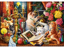 CASTORLAND Puzzle Koťata kouzelníci 1000 dílků