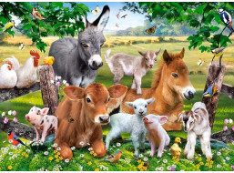 CASTORLAND Puzzle Na farmě 100 dílků