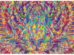SCHMIDT Puzzle Divokost v tygřím srdci 2000 dílků