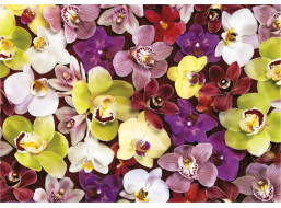 EDUCA Puzzle Koláž z orchidejí 1000 dílků