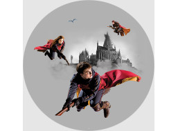 Dětská samolepící fototapeta - HARRY POTTER 2 - kulatá - 70 cm