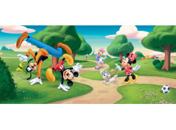 Dětská fototapeta DISNEY - Mickey Mouse s kamarády v parku - 202x90 cm