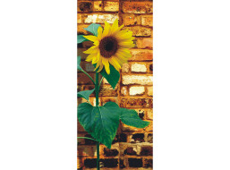 Moderní fototapeta - Slunečnice - 90x202 cm