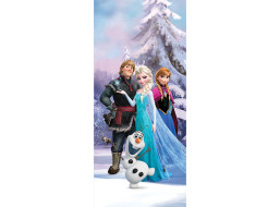 Dětská fototapeta DISNEY - Frozen v kouzelném lese - 90x202 cm
