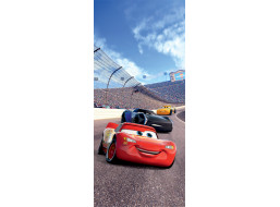 Dětská fototapeta DISNEY - AUTA - jízda na okruhu - 90x202 cm