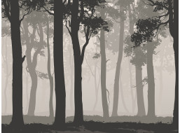 Moderní fototapeta - Tajemný les - 360x270 cm