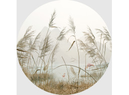Moderní fototapeta - Rákosí - kulatá - 140 cm