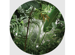 Moderní fototapeta - Tropické rostliny - kulatá - 140 cm