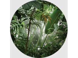 Moderní fototapeta - Tropické rostliny - kulatá - 70 cm