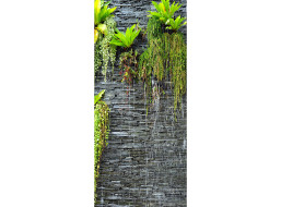 Moderní fototapeta - Rostliny na zdi - 90x202 cm