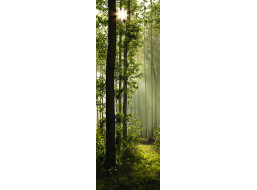 Moderní fototapeta - Magický les - 90x270 cm