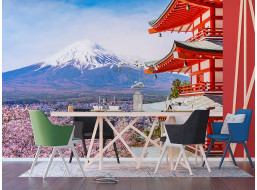 Moderní fototapeta - Kvetoucí sakura v Japonsku - 360x270 cm
