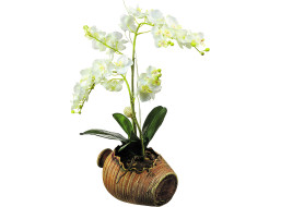 Moderní samolepka na zeď - Orchidej v květináči - 42,5x65 cm