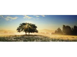 HEYE Panoramatické puzzle Hra světla 1000 dílků