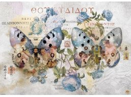 HEYE Puzzle Metamorphosis: Křídla č. II 1000 dílků