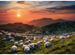 HEYE Puzzle Ovce a sopky 1000 dílků