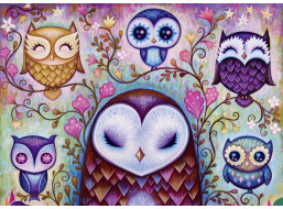 HEYE Puzzle Dreaming: Velká sova 1000 dílků