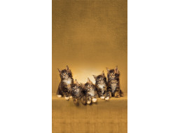 Designový závěs - Kočky - 140x245 cm
