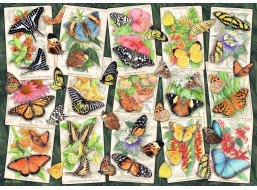 RAVENSBURGER Puzzle Tropičtí motýli 1000 dílků