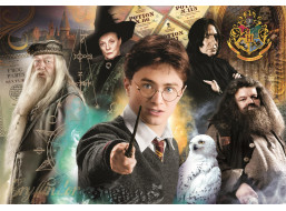 CLEMENTONI Puzzle Harry Potter: Učitelé 1000 dílků