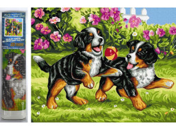 Norimpex Diamantové malování Hravá štěňátka 30x40 cm