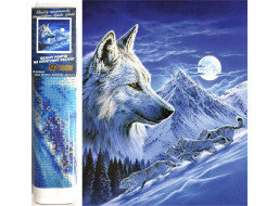 Norimpex Diamantové malování Noční lovci 30x40 cm