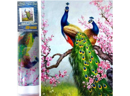 Norimpex Diamantové malování Pávi 30x40 cm