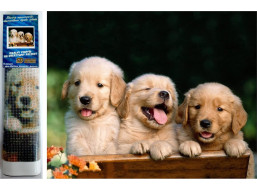 Norimpex Diamantové malování Roztomilé trio 30x40 cm