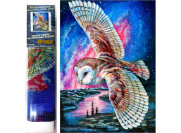 Norimpex Diamantové malování Soví let 30x40 cm