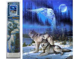 Norimpex Diamantové malování Divoký úplněk 30x40 cm