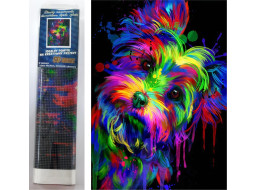 Norimpex Diamantové malování Jorkšírský teriér 30x40 cm