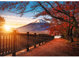 TREFL Puzzle Premium Plus Photo Odyssey: Hora Fuji, Japonsko 1000 dílků
